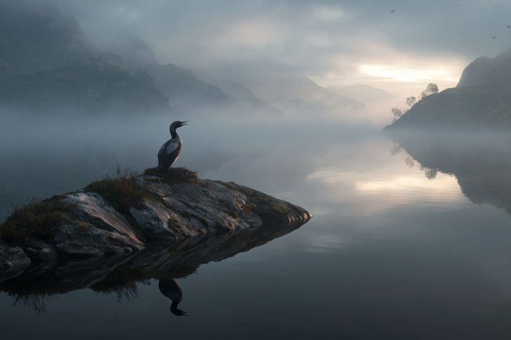 Storlom i disig fjordlandskap som visualiserer stillhet, fokus og ettertanke.